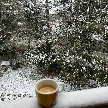 Nadsan Mountain House Apartment กามิลยาเตลโล ซีลาโน ภายนอก รูปภาพ