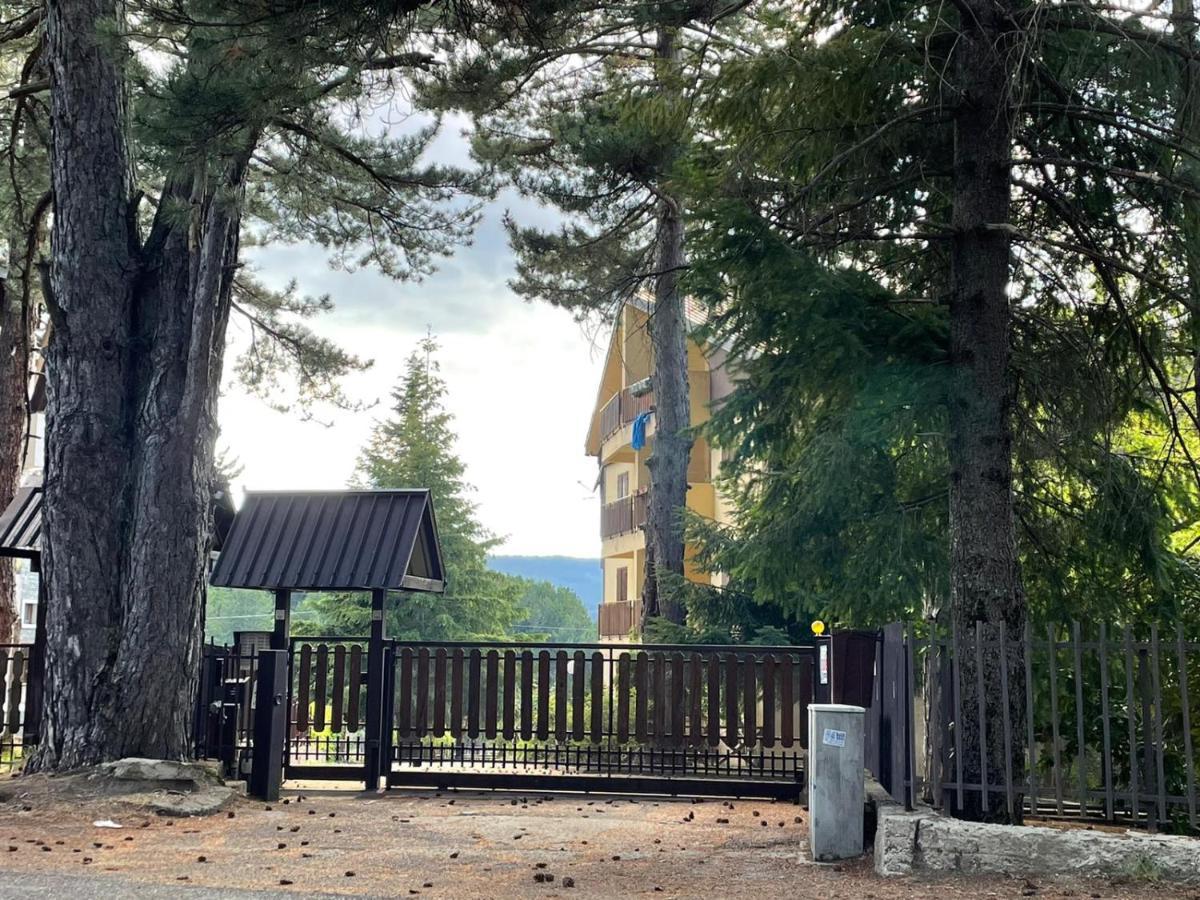 Nadsan Mountain House Apartment กามิลยาเตลโล ซีลาโน ภายนอก รูปภาพ
