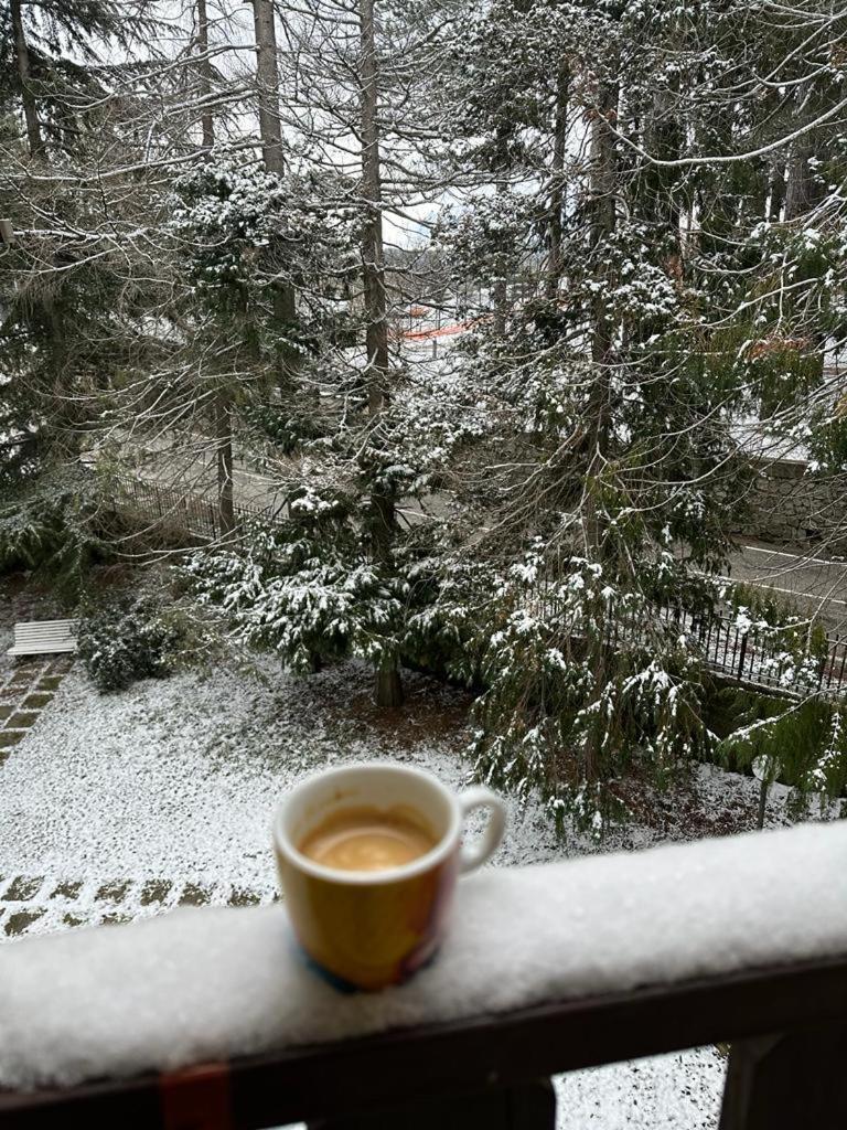Nadsan Mountain House Apartment กามิลยาเตลโล ซีลาโน ภายนอก รูปภาพ
